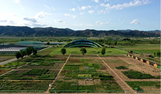 蒙草生態上市十周年:種業為本、科研當先