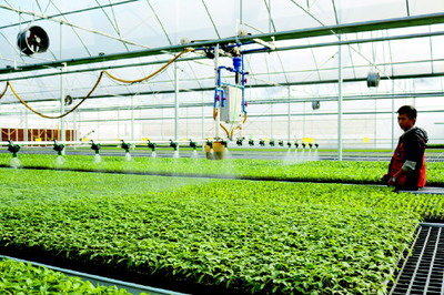 立法為加快廣東種業發展保駕護航