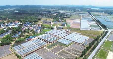 長(zhǎng)沙縣啟動(dòng)第一批種業(yè)小鎮(zhèn)建設(shè) 助力現(xiàn)代農(nóng)業(yè)發(fā)展