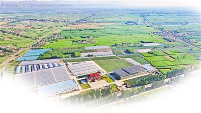 平羅 開(kāi)創(chuàng)種業(yè)“芯”未來(lái) 跑出振興加速度